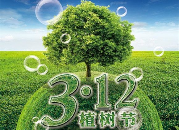 华体会官方网页版装饰管